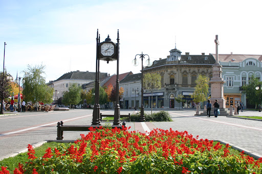TV Servis i Servis Televizora Vršac – Dolazimo po TV na vašu adresu!